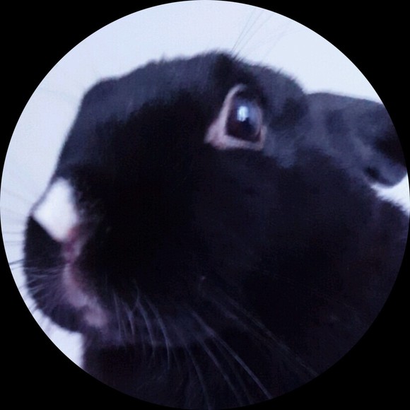 mimsimimchi